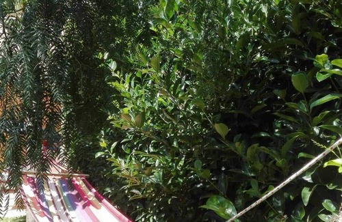 Melendugno Cabaña | Pousada Saracena
