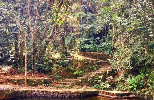Paraty Cabaña | Casa de campo Pouso da Mata