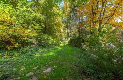 Spruce Pine Cabina | Little Switzerland, Gas Logs, Hot Tub, Peaceful, Blue Ridge Parkway, Wifi