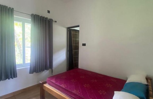 Alappuzha Casa | Poyalil House (Ekaveera kalaripayattu academy)
