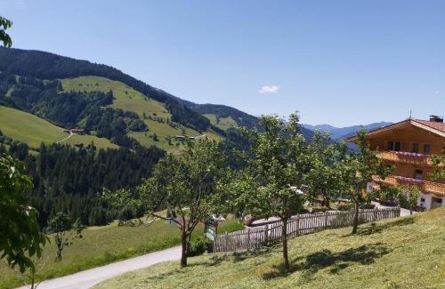 Wildschoenau Apartamento | Prädastenhof