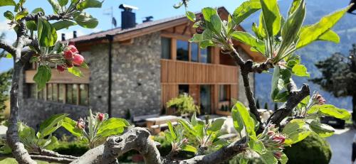 Parcines Apartamento | Pröfinghof - Urlaub auf dem Biobauernhof