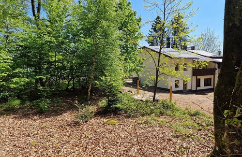 Pruemzurlay Casa | Prümzurlayer forest view