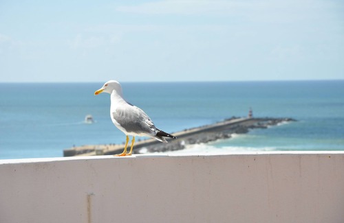 Praia da Rocha Casa | Praia Da Rocha: Casa / villa / chalet - Praia da Rocha - Portimão