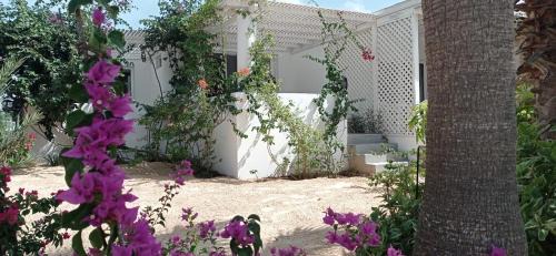 Rabil Apartamento | Praia de Chaves Bungalow ,Boavista
