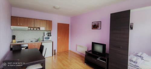 Shiligarnika Apartamento | Predela 1 - Studio 10 near Bansko Ski Lift