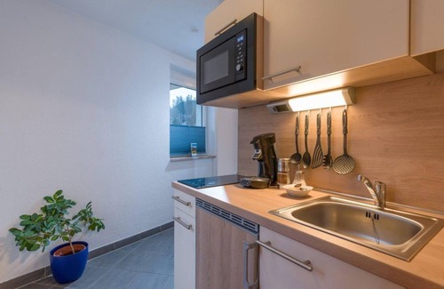 Scheffau am Wilden Kaiser Cama Y Desayuno | Premium-studioappartement Balkon, Küche, Couch - Blaiken Appartements