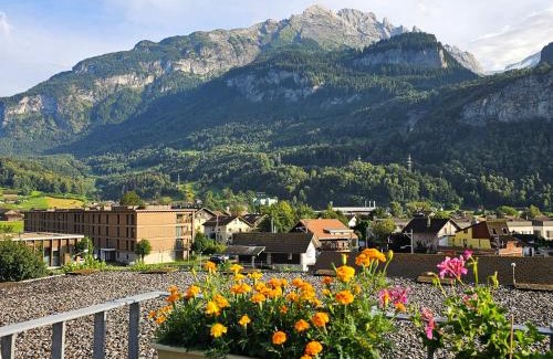 Meiringen Apartamento | Premium Apartments - central & historical