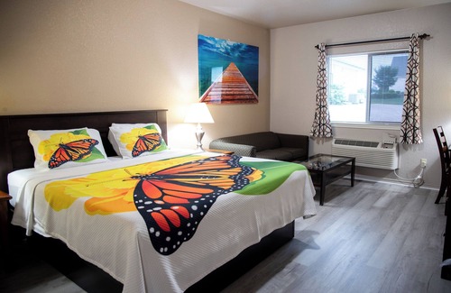 Killeen Hotel | Premium Inn and Suites