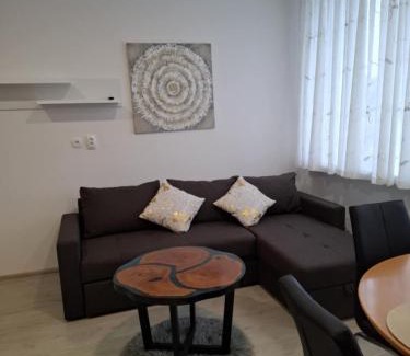 Dravograd Apartamento | Prenočišča Dany APARTMA 2