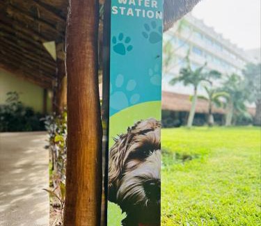 Punta Cancún Complejo | Presidente InterContinental Cancun Resort