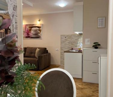 Grbavica Apartamento | Prestige Apartment 2
