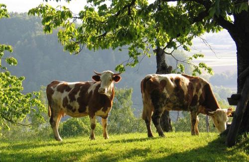 Ljubljana Casa | Pri Lazarju Farm Stay