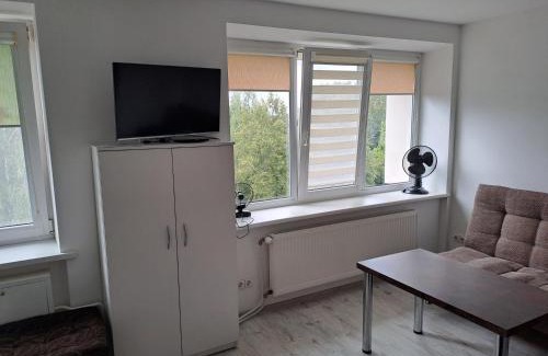 Birzai Apartamento | Prie Agluonos