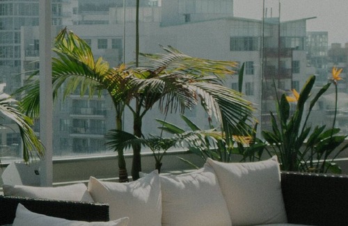 St. Elizabeth's Apartamento | Prime Brighton 1BR w/ W/D, Gym, near T, Shops + Dining, by Blueground