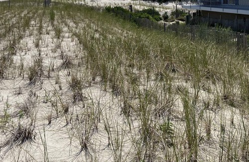 South Seaside Park Condominio | Prime oceanfront condo with amazing views of the Atlantic and Island Beach!