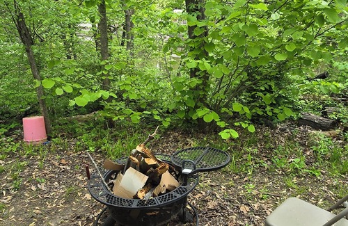 Winamac Cabina | PRIMITIVE CABIN #2 in Winamac