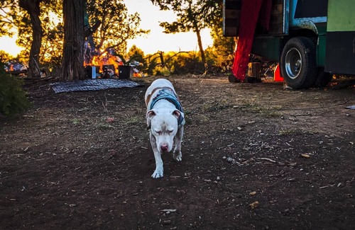 Cortez Alquiler De RV | PRIMITIVE CAMPING W/ VIEWS OF MESA VERDE NATIONAL PARK & SLEEPING UTE