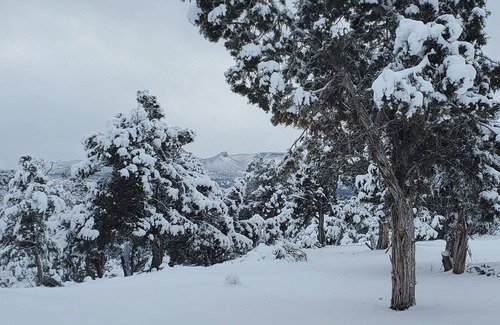 Cortez Alquiler De RV | PRIMITIVE CAMPING W/ VIEWS OF MESA VERDE NATIONAL PARK & SLEEPING UTE