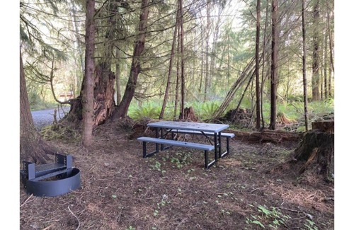 Forks Alquiler De RV | Primitive Tent Site #6- Beautiful Forested Property