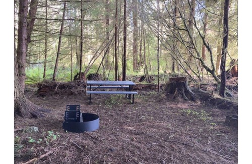 Forks Alquiler De RV | Primitive Tent Site #6- Beautiful Forested Property