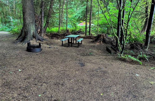 Forks Alquiler De RV | Primitive Tent Site #6- Beautiful Forested Property