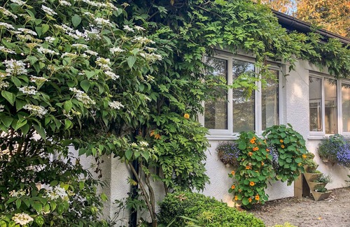 Bude Cabaña | Primrose End