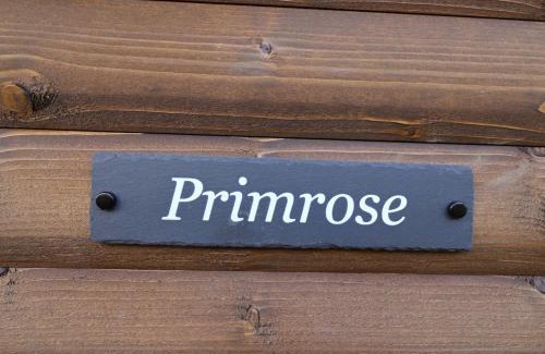 Chard Casa | Primrose