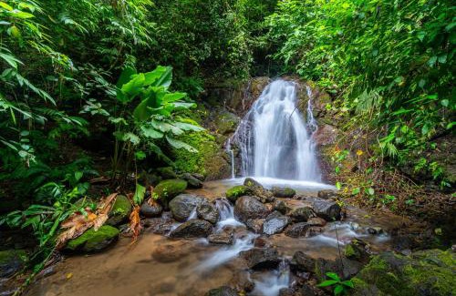 Matapalo Casa | Privacy-waterfall-pool-sleeps 8-near Beach