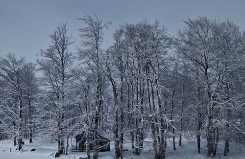 Zabljak Apartamento | Prival S