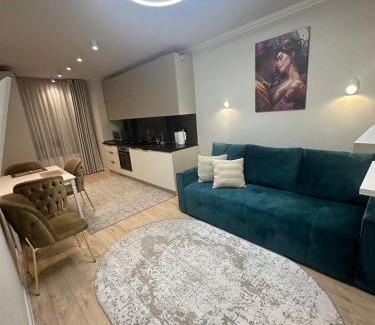 Riscani Apartamento | Privat Apartment Circ 7