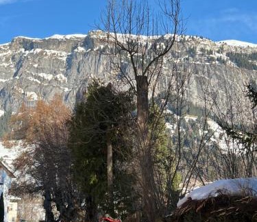 Flims Cama Y Desayuno | Privat Bed and Breakfast in Flims Waldhaus