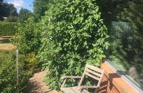 Nykobing Mors Casa | privat hjem på lukket villavej