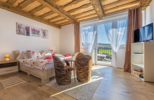 Zdiar Casa | Privat na Vŕšku