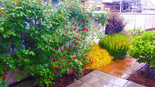 Turcianske Teplice Casa | Privat Velvet