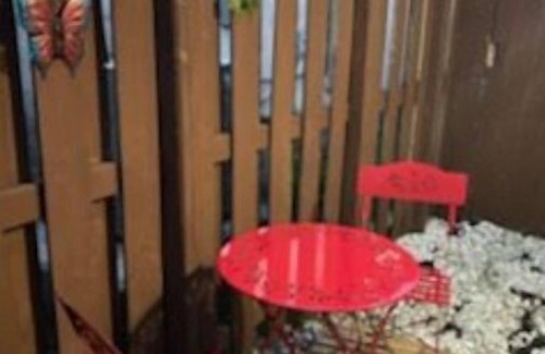 Homestead Apartamento | Private 1/1 Studio w/ Private Entrance
