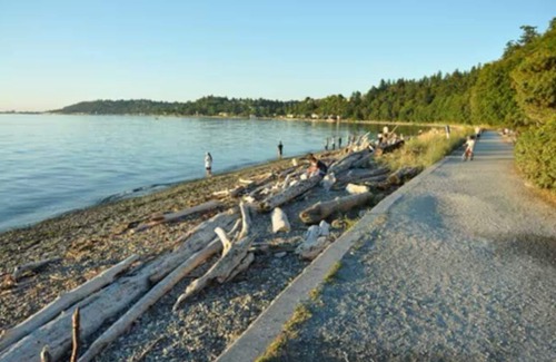 Roxhill Apartamento | Private 1 BR Apt near the Beach, Airport, and quick commute to Downtown Seattle