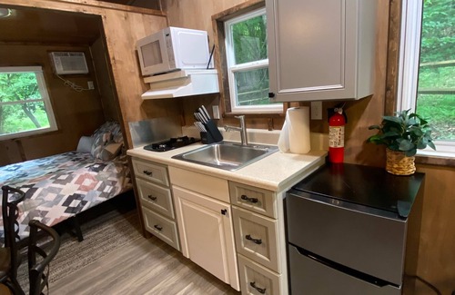 Rutherfordton Cabina | Private 1BR Cabin With Fenced In Dedicated Yard