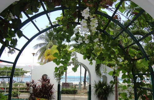 Ocho Rios Apartamento | Private 2 Bedroom Beachfront Penthouse Condo Ocho Rios, Jamaica