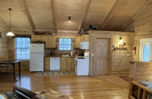 Tellico Plains Cabina | Private and Perfect! - hot tub, king bed, fireplace - dog and motorcycle friendly Studio Cabin by RedAwning