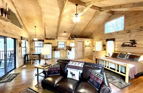 Tellico Plains Cabina | Private and Perfect! - hot tub, king bed, fireplace - dog and motorcycle friendly Studio Cabin by RedAwning