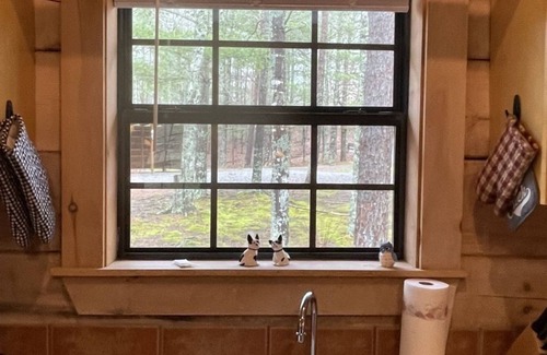 Tellico Plains Cabina | Private and Perfect! - hot tub, king bed, fireplace - dog and motorcycle friendly Studio Cabin by RedAwning