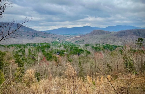 Vein Mountain Cabina | Private Cabin in the Woods - Relax by the Creek!