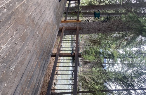Darby Casa | Private Cabin on a Nez Perce Creek, 15 Minutes from Darby, MT
