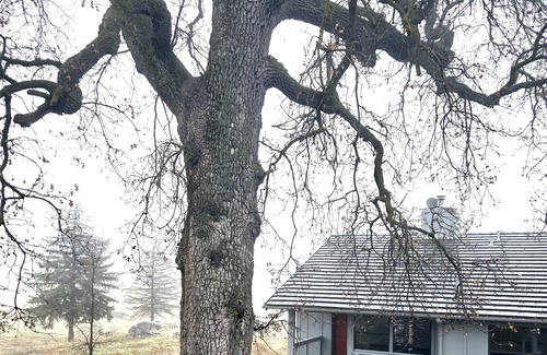 Stallion Springs Cabaña | Private cottage quiet & peaceful at Stallion Springs