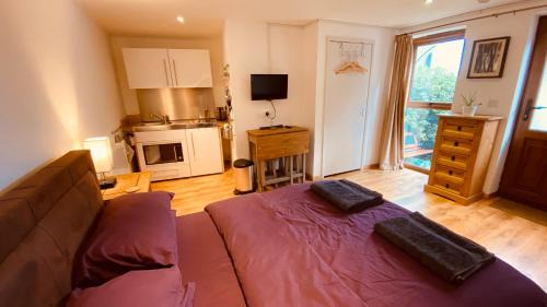 Isleham Apartamento | Private Detached Annex in Isleham Village