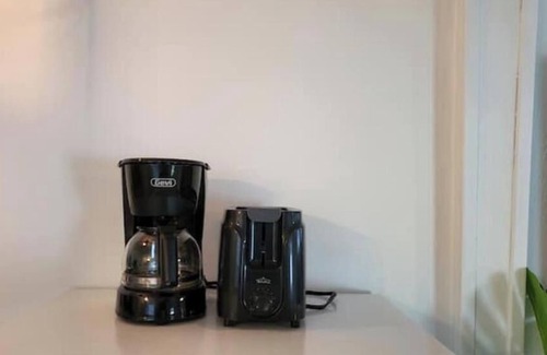 Historic Old Northeast Apartamento | Private Garden Studio close to Downtown St Petes