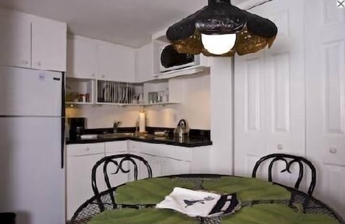 Summerville Historic District Apartamento | Cuartos privados para invitados: ¡disfruta de un invierno cálido! ¡Excelente precio para estadías prolongadas!