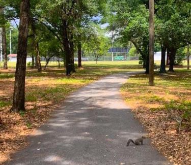 Ocala Casa | Private Home in Ocala with Fenced Yard, Piano, Central Location, Pets Welcome