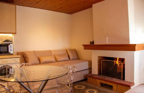 Karpenisi Apartamento | Private House, Miriki Village